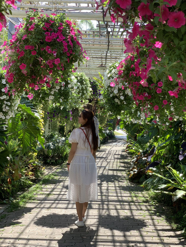 A Spring Stroll in Royal Rajapruek Park