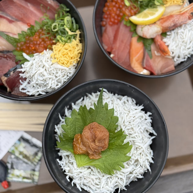 Witness Blue Fin Tuna Cutting at Wakayama’s Kuroshio Market