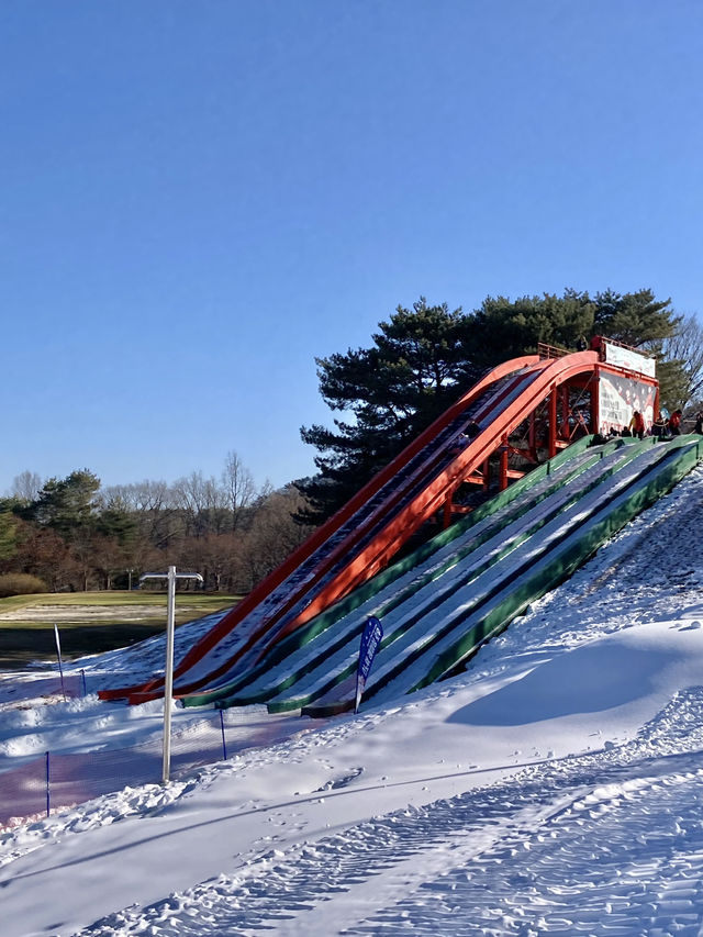 비발디파크 아이들이 좋아할 눈 세상 ‘스노위랜드’❄️☃️