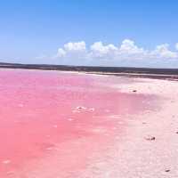 A Pink Paradise: Have You Seen the Stunning Lake Hillier in Perth??