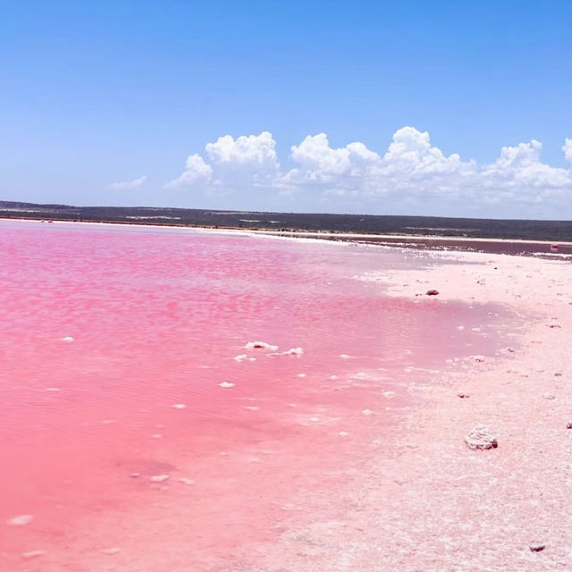 A Pink Paradise: Have You Seen the Stunning Lake Hillier in Perth??