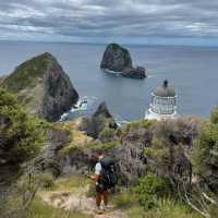 Guiding Lights and Epic Hikes: Discover Cape Brett Lighthouse