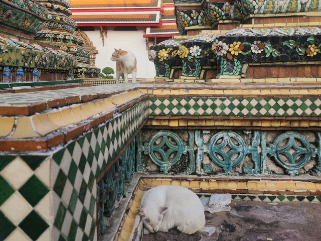 The world famous reclining Buddha at Wat Pho