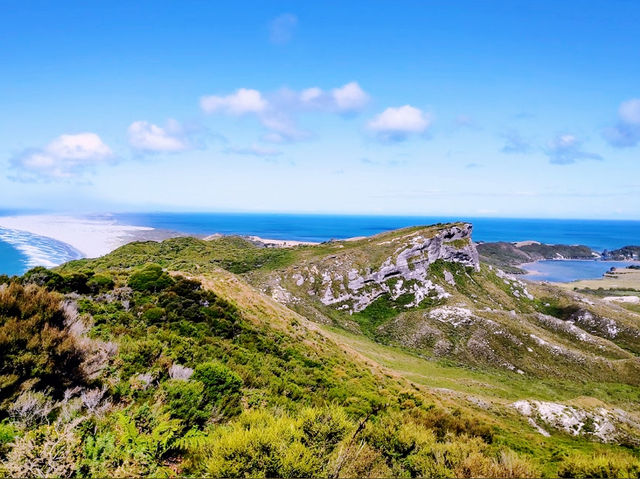 Puponga hilltop walk - Farewell Spit & Puponga Farm Park