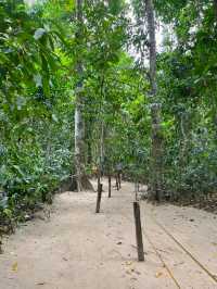 UNESCO treasure: Puerto Princesa’s Underground River