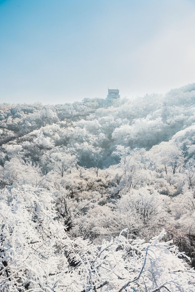 杭州初雪市區一小時可達的鸬鳥山賞雪攻略