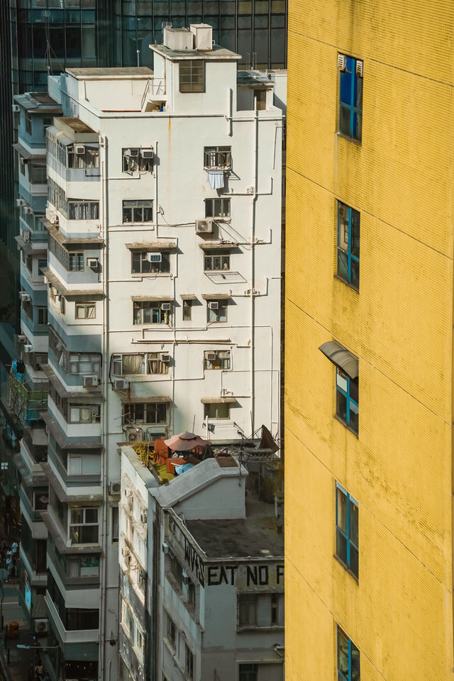 在香港鬧市區發現了一個小眾拍攝機位！！