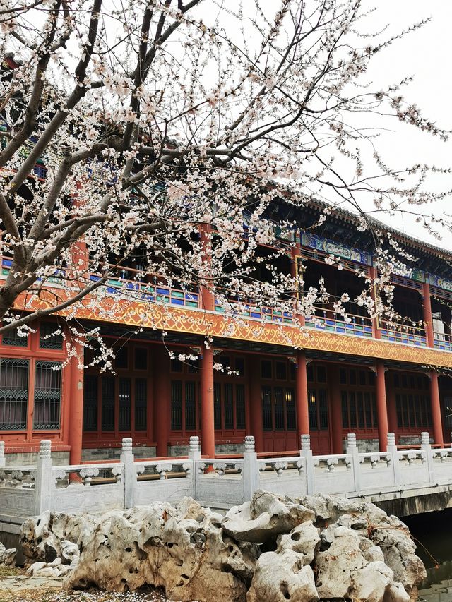 北京中國園林博物館，園林精萃，匯聚南北，一站收穫