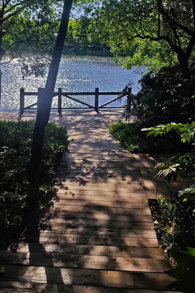 西郊賓館內花園