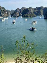 Discovering Halong Bay: A Natural Wonder in Vietnam