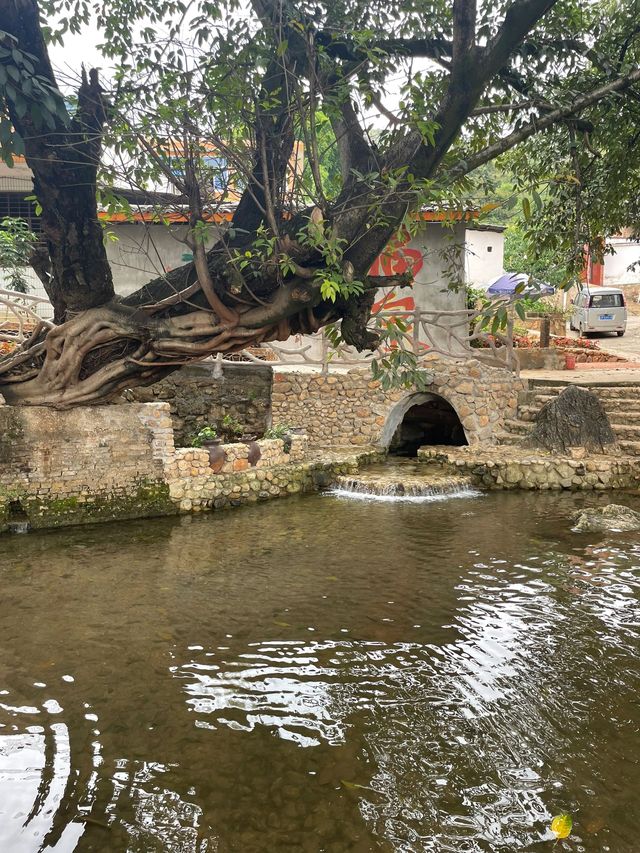 綿陽至攀枝花 10 日遊玩轉兩地不繞路