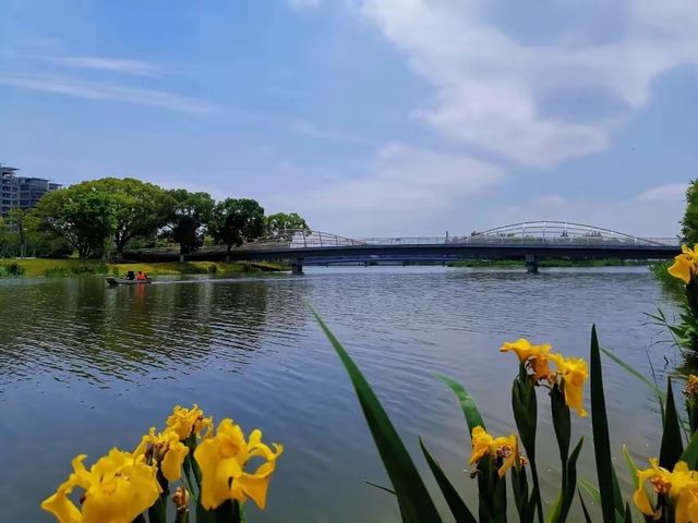 寧波明湖公園