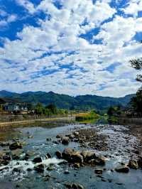 流水潺潺、白鴨慢步、榕樹垂柳……