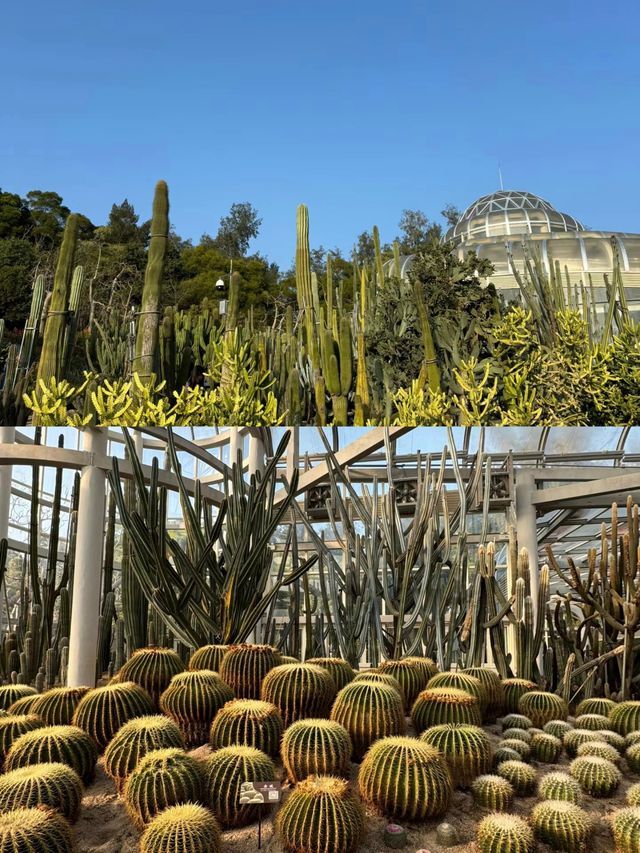 廈門園林植物園旅行攻略