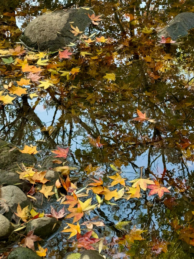 上海|延中廣場公園治好了我的京都戒斷症