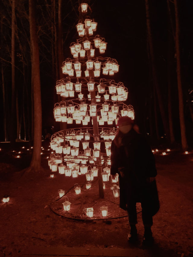 The Most Beautiful Christmas Experience at the Karuizawa Kogen Church