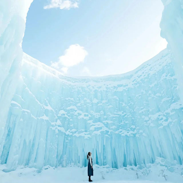 美しい北海道の雪景色❄️