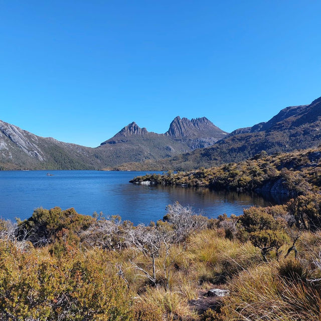 Stars: Cradle Mountain's Majestic Splendor!