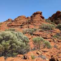 Unveil the Wonders of Kings Canyon - Watarrka National Park