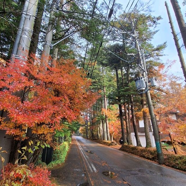 浸泡在露天溫泉，觀賞著遍山紅葉