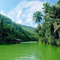 Discovering the Charms of Bohol