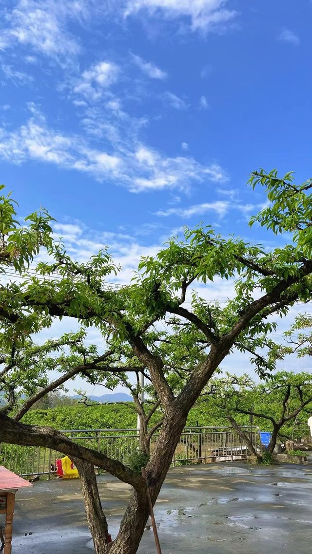 周末徒步合川釣魚城，感受不一樣的歷史文化景點