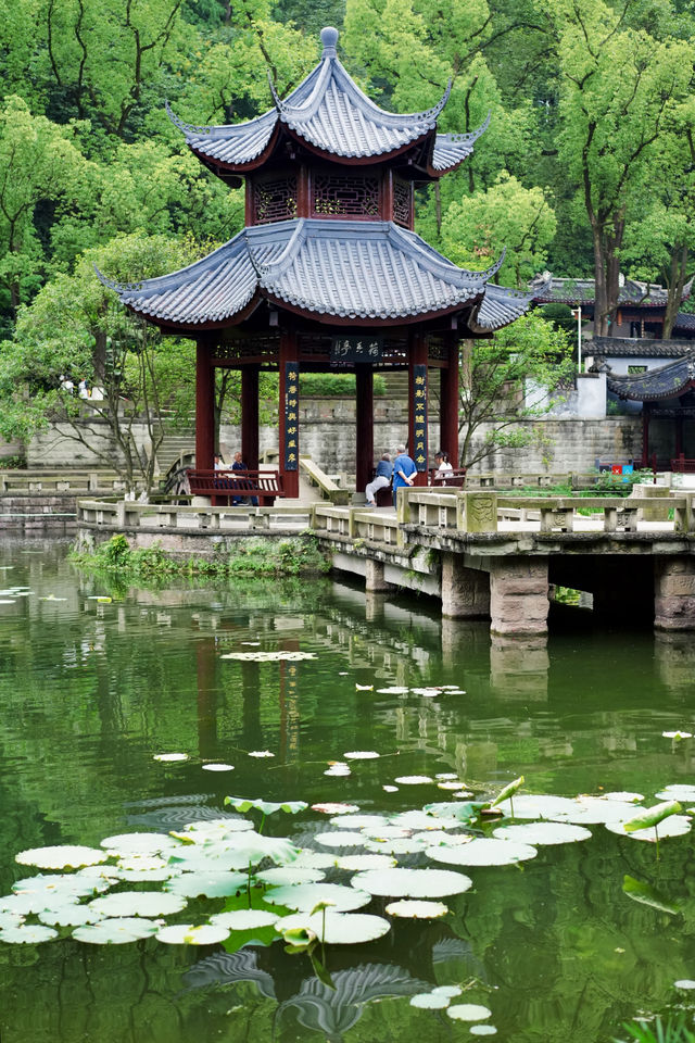 浪漫泸州｜藏在忠山公園的松弛感