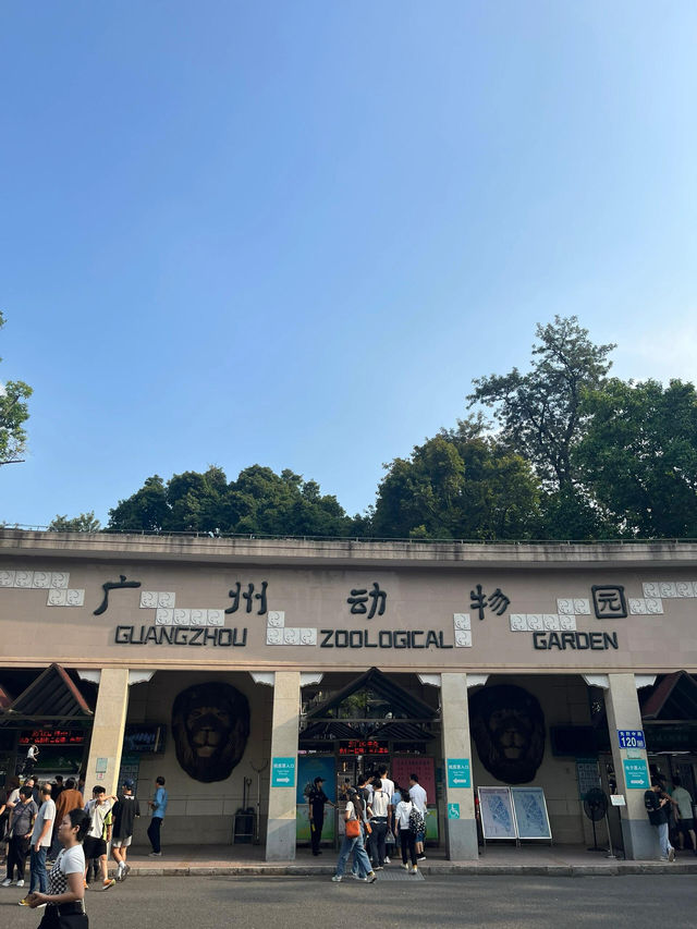 廣州動物園 | 無3小時走不出來。