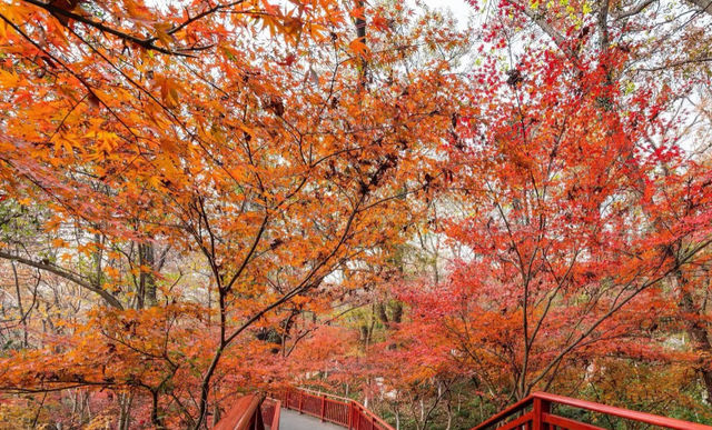 石門國家森林公園。