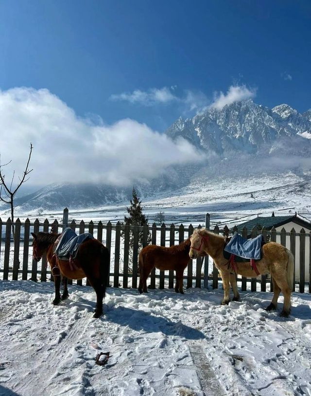 北海道？我的評價是不如成都。