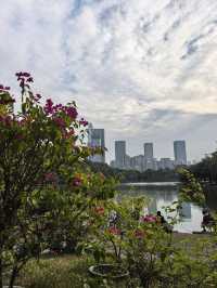 深圳蓮花山公園親子遊體驗之旅