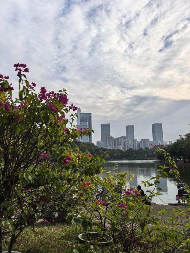 深圳蓮花山公園親子遊體驗之旅