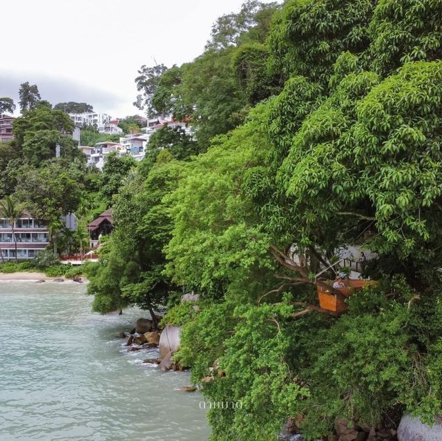 Treepod at Amari Phuket คาเฟ่รังนก วิวหาดป่าตอง 🌳