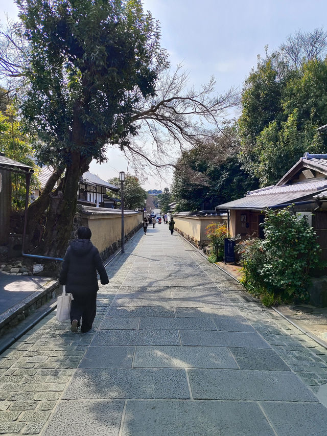 Exploring the Heart of Kyoto