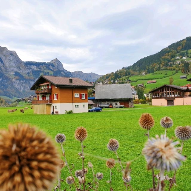 Discover the Magic of Lauterbrunnen: Tips for an Unforgettable Alpine Escape