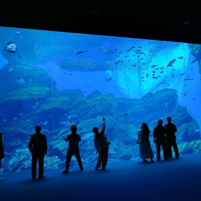 仙台景點｜冬季限定東北企鵝大暴走—仙台海洋森林水族館