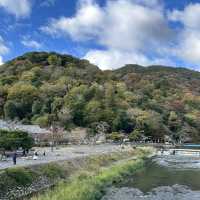 เที่ยว arashiyama ช่วงใบไม้เปลี่ยนสี 🍁🍂