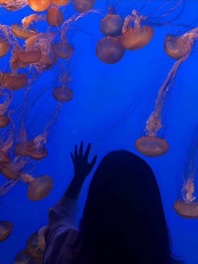 怎麼會有那麼夢幻的水族館！