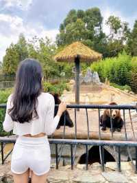 雲南野生動物園一日遊