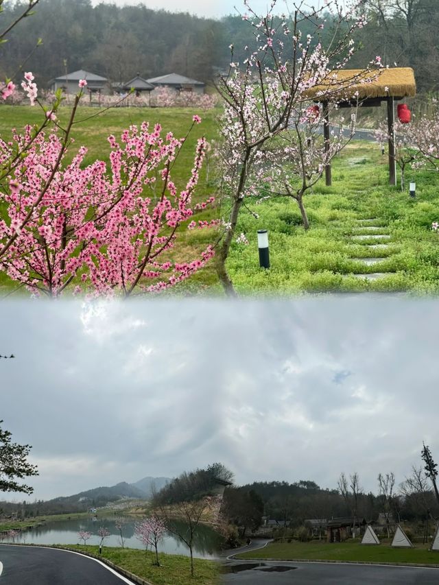 武漢周邊遊|裕和夫子山居 闖進闖入宮崎駿的童話世界