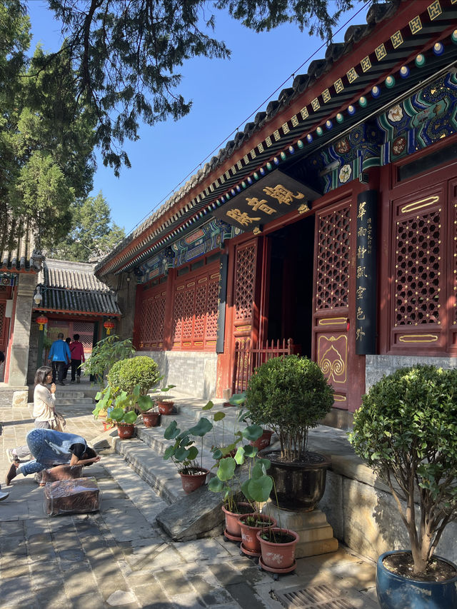 國保打卡：法源寺（國五）。