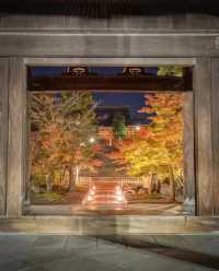 Explore Kyoto's Nighttime Autumn Foliage in 2023