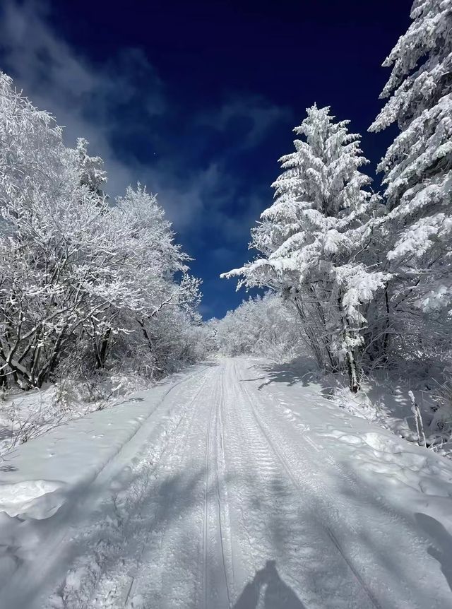 還在愁雪谷怎麼玩？看這篇就知道了