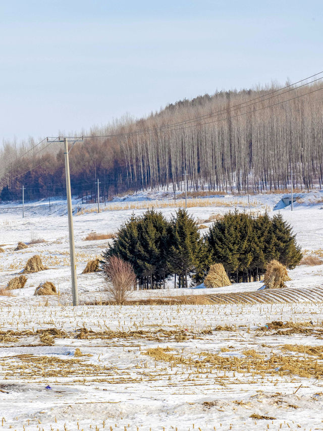 就為這一刻的雪景，我才跨越3000公里來東北