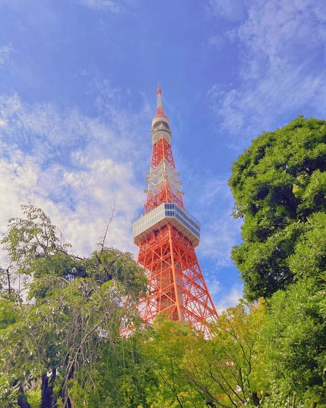 東京|日式庭院，太美啦