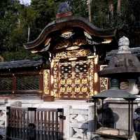 Charming Streets and Timeless Beauty: Gion, Kyoto