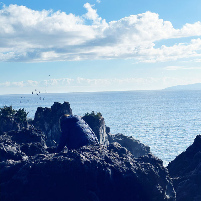 Walk through the jogasaki coast