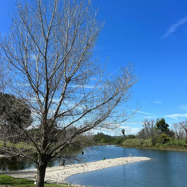 賽城湖濱公園：湖光山色