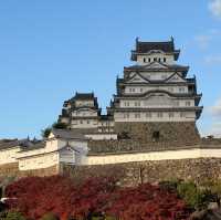 Solo travel to the most iconic Himeji Castle, Japan 🇯🇵 