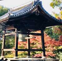 A Journey Through Kodaiji Temple's Fall Splendor